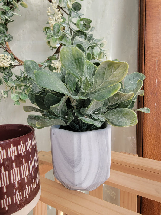 Greens in Marble Pot