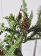 Pinecone Wreath 12"
