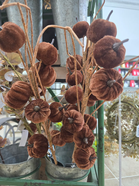 Velvet Pumpkin Pick
