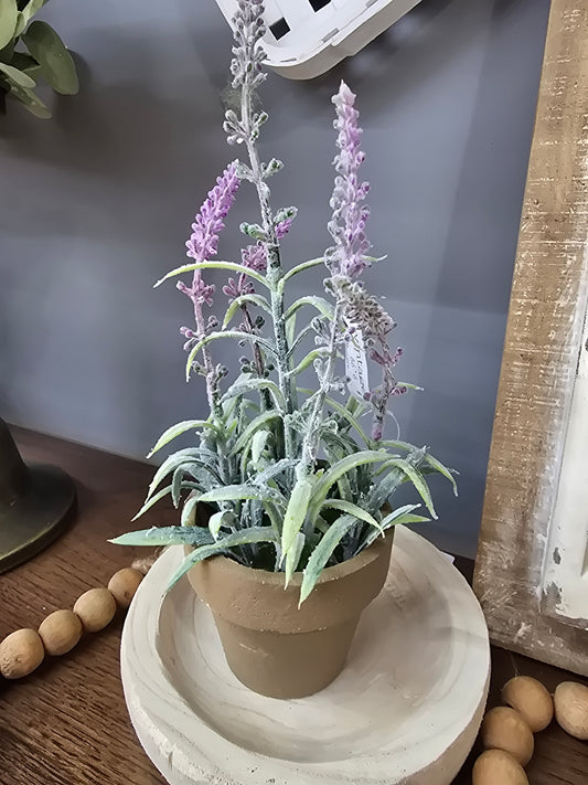 Lavender Sage Pot