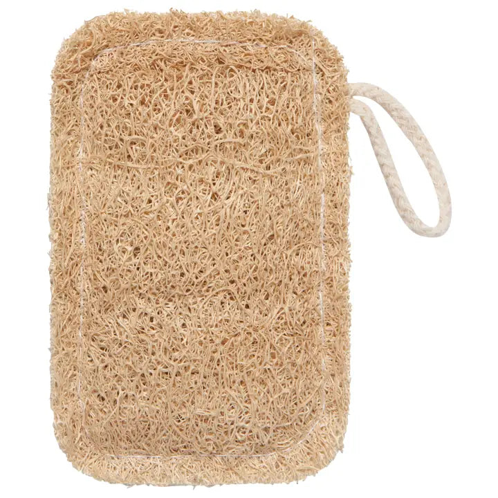 Loofah Dish Sponge Set of 2