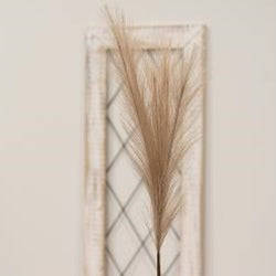 Pampas Grass Pick 28" Taupe