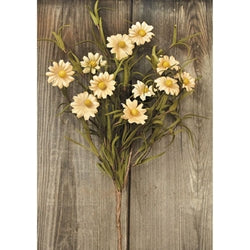 Tea Stained Daisy Pick 14"